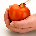 [71894] Descorazonador tomate 10.5 cm en acero inoxidable - Browne
