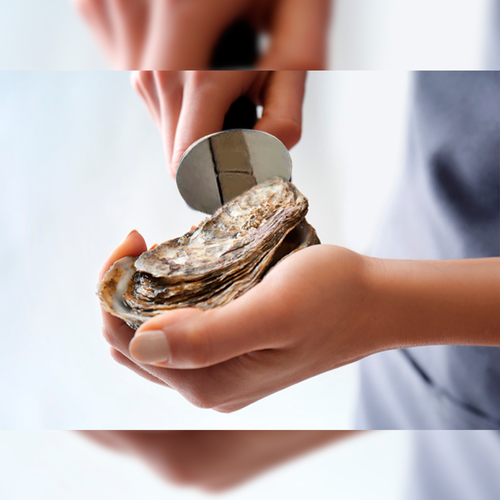 Cuchillo para ostras con mango madera en acero inoxidable - Browne