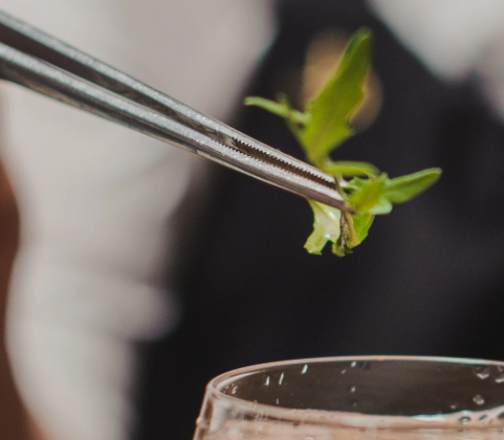 [57516] Pinza de precisión recta 8" - Browne