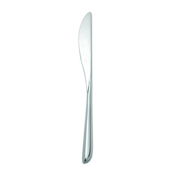 Cuchillo de 22.2cm para Ensalada &amp; Postre - Quantum 18/10 - Oneida