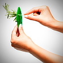 Pelador de tallos para vegetales de hoja (Outlet) - Chefn