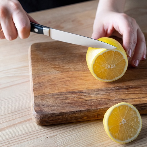 [1090370601-O] Bloque para Cuchillos de 6 piezas - Ikon (Outlet) - Wusthof